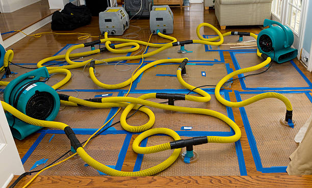 Professional Storm Water Damage Restoration technician working in Idanha, OR